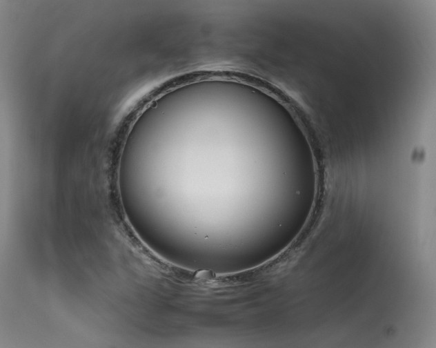 X0000115621311200911101406