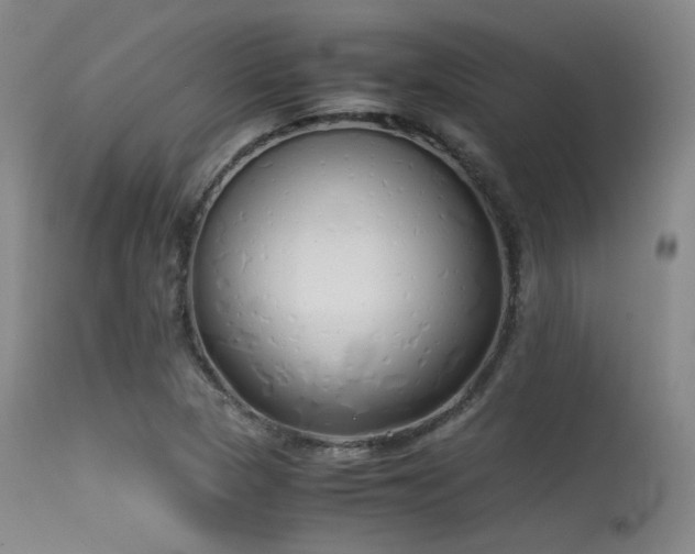 X0000115621313200911101406