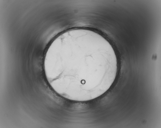 X0000115621314200911101406