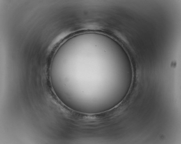 X0000115621315200911101406