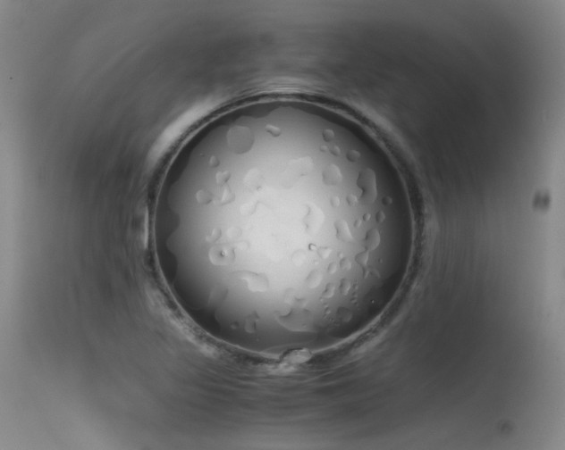 X0000115621317200911101406