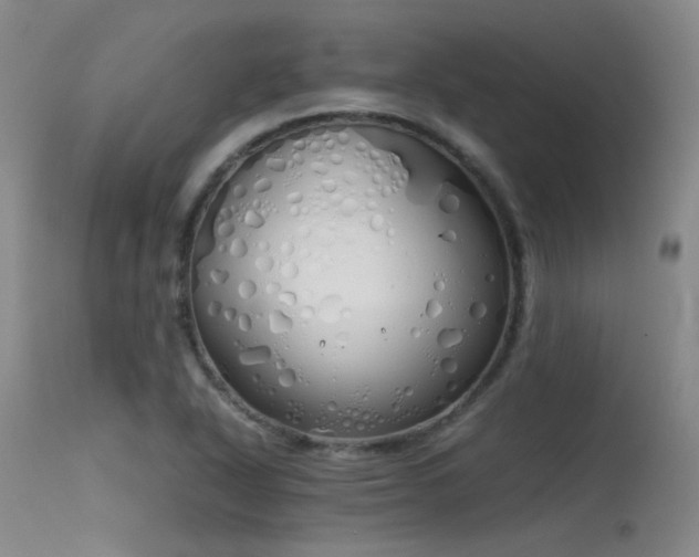 X0000115621318200911101406