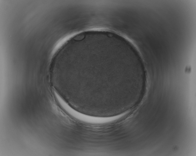 X0000115621319200911101406