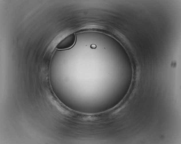 X0000115621321200911101406