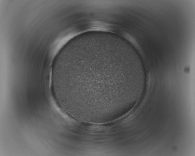 X0000115621323200911101407