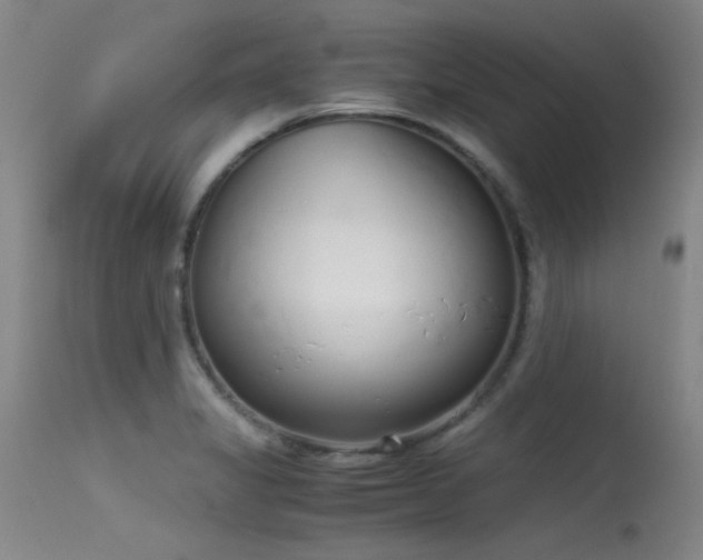 X0000115621325200911101407