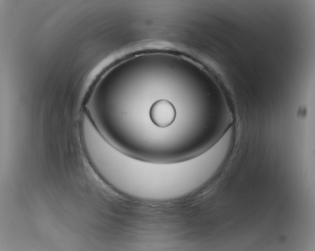 X0000115621326200911101407