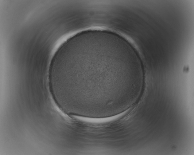 X0000115621327200911101407