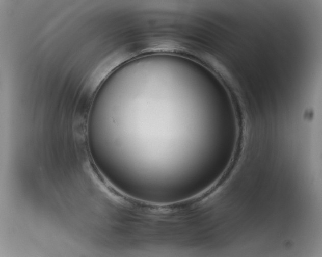 X0000115621329200911101407