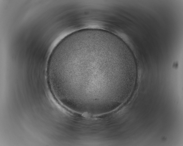 X0000115621331200911101407