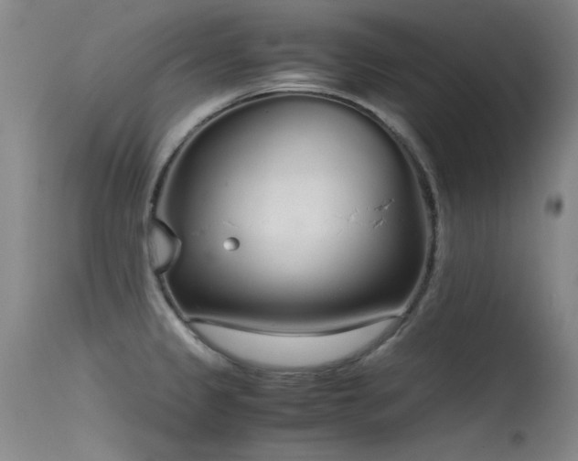 X0000115621333200911101407