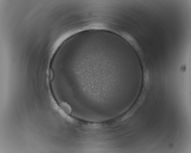 X0000115621334200911101407