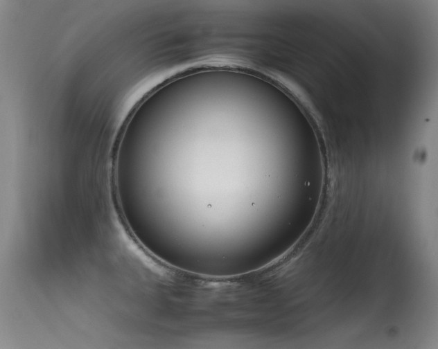 X0000115621335200911101407