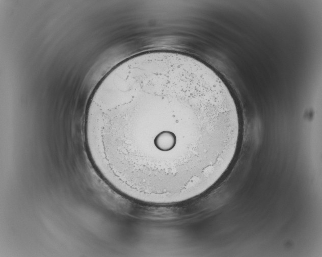 X0000115621338200911101407