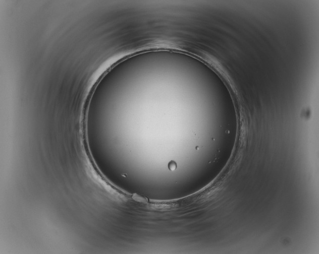 X0000115621339200911101407