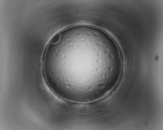 X0000115621341200911101407