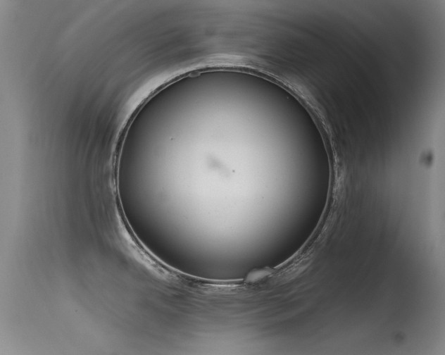 X0000115621342200911101407