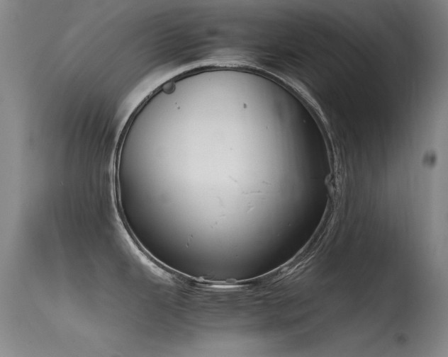 X0000115621343200911101407