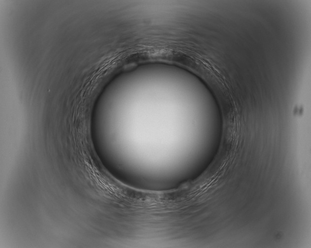 X0000115621345200911101406