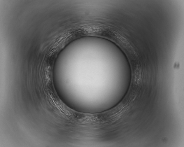 X0000115621346200911101406