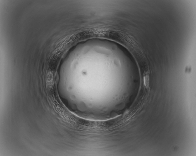 X0000115621347200911101406