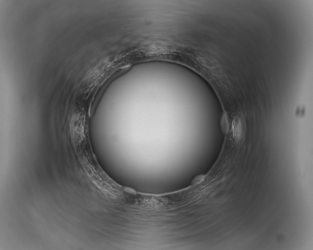 X0000115621348200911101406