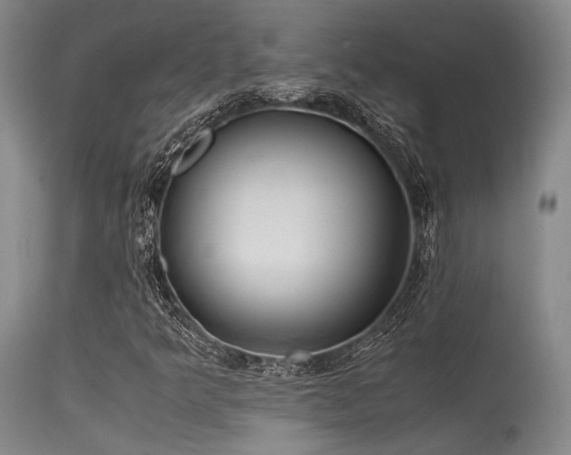 X0000115621349200911101406