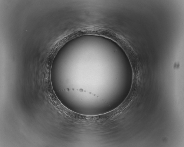 X0000115621350200911101406