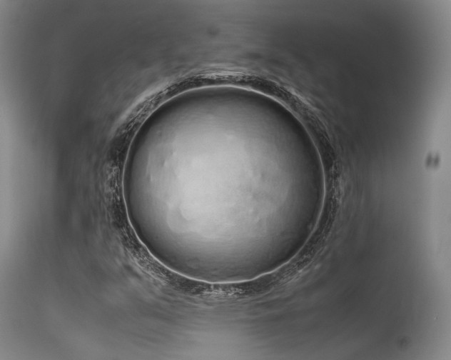 X0000115621351200911101406