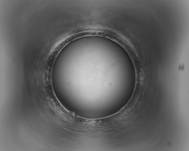 X0000115621352200911101406