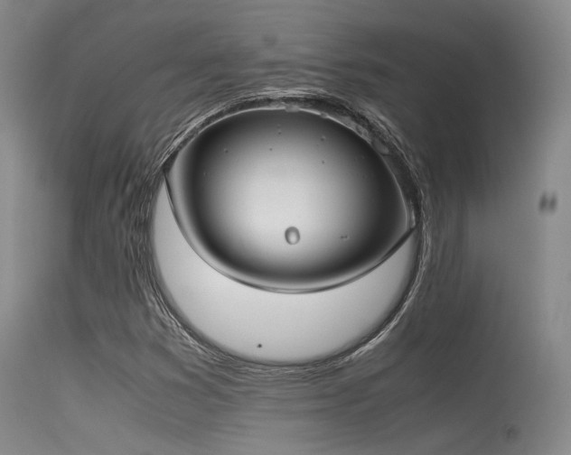 X0000115621353200911101406