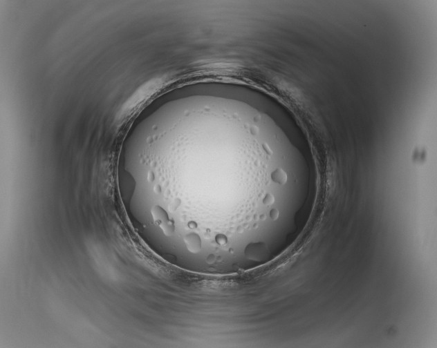 X0000115621354200911101406