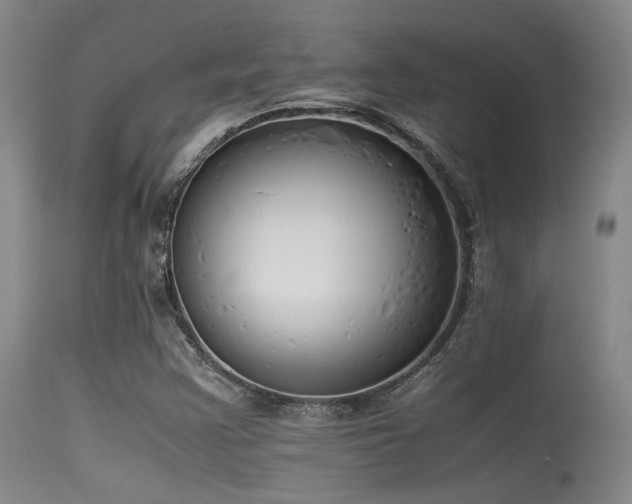 X0000115621355200911101406