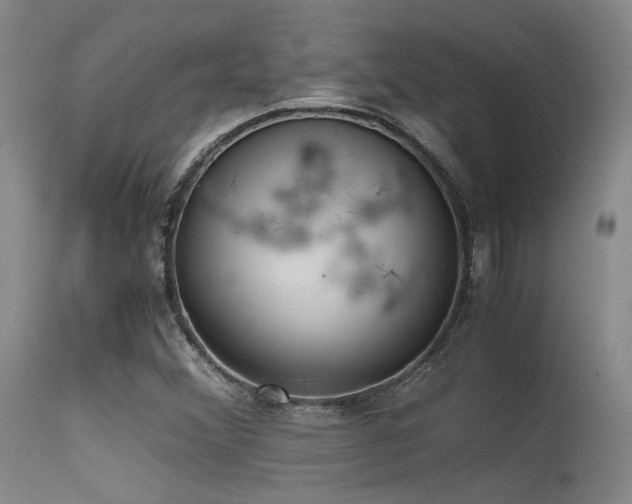 X0000115621356200911101406