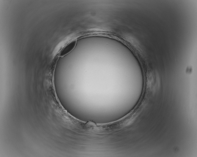 X0000115621357200911101406