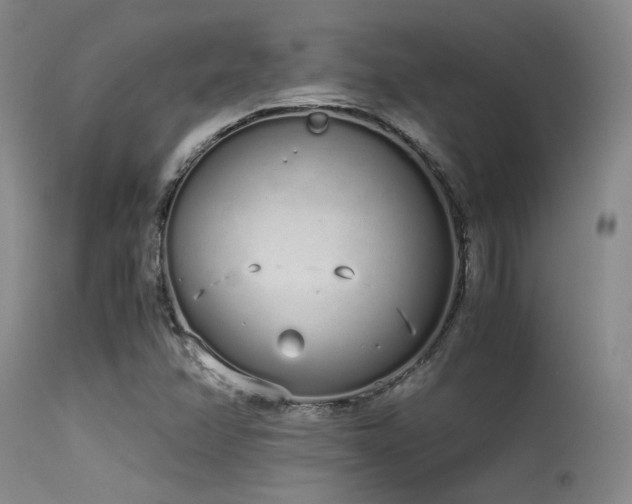 X0000115621358200911101406