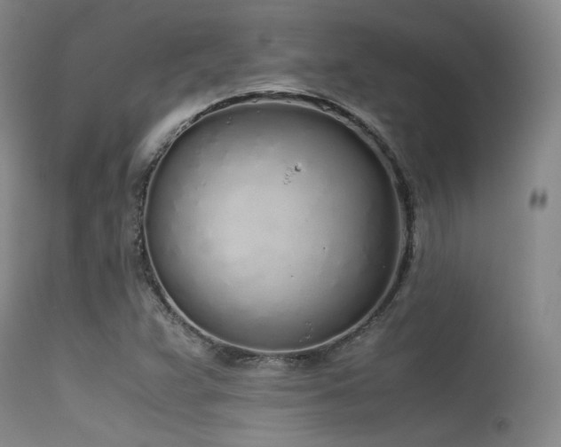 X0000115621359200911101406