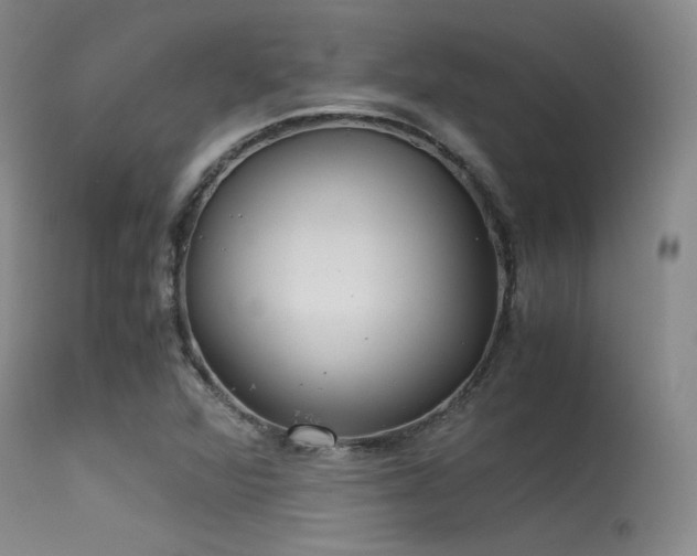 X0000115621360200911101406