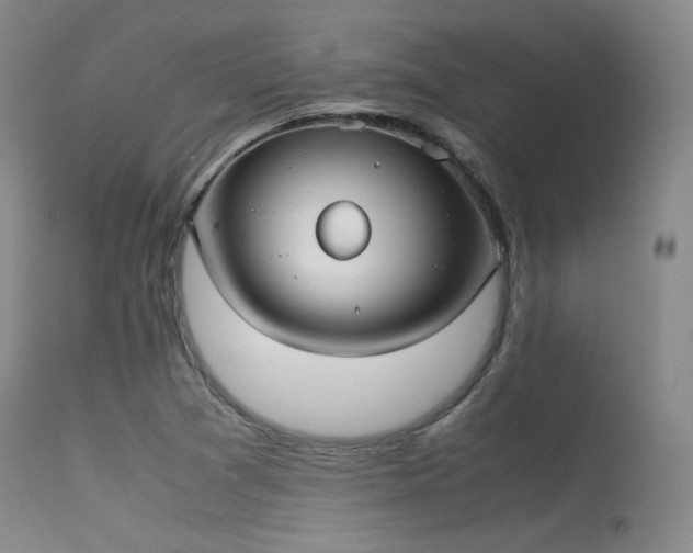 X0000115621361200911101406