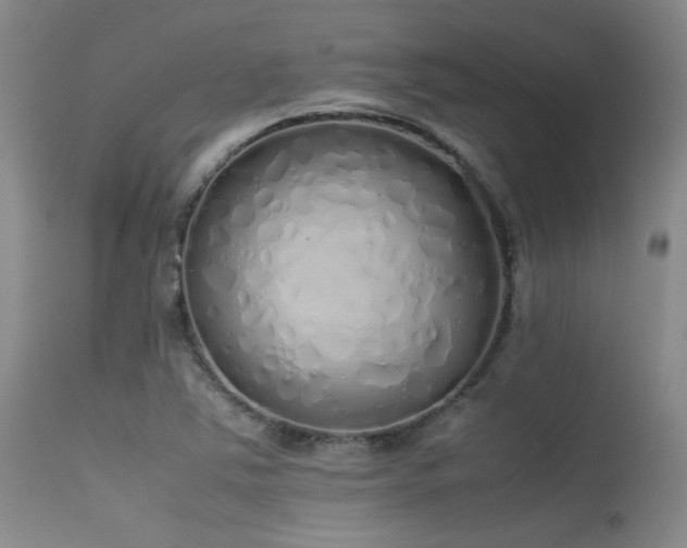 X0000115621363200911101406