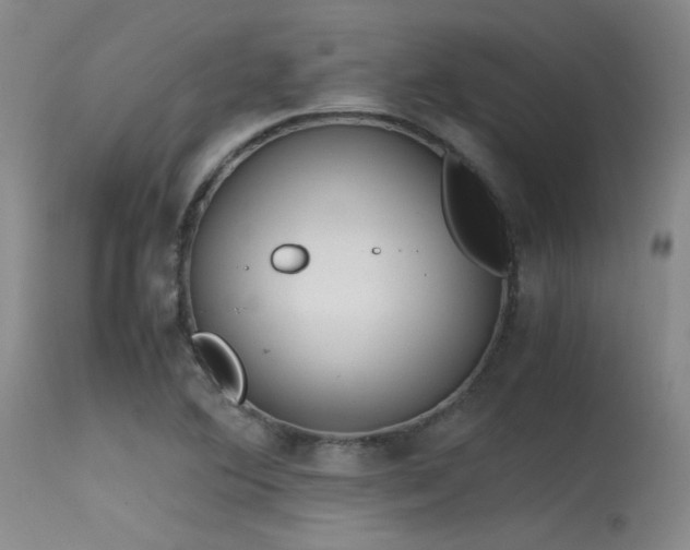 X0000115621364200911101406