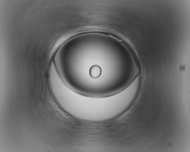 X0000115621365200911101406