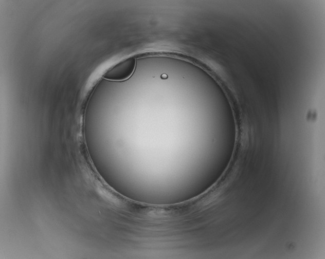 X0000115621366200911101406