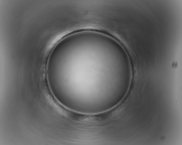 X0000115621367200911101406