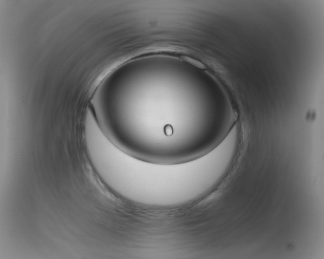 X0000115621369200911101406