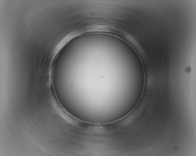 X0000115621370200911101406