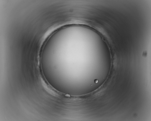 X0000115621372200911101406