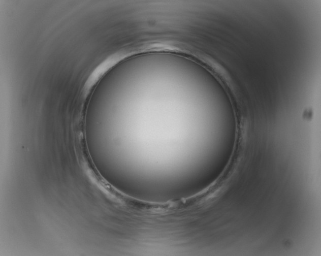 X0000115621373200911101406