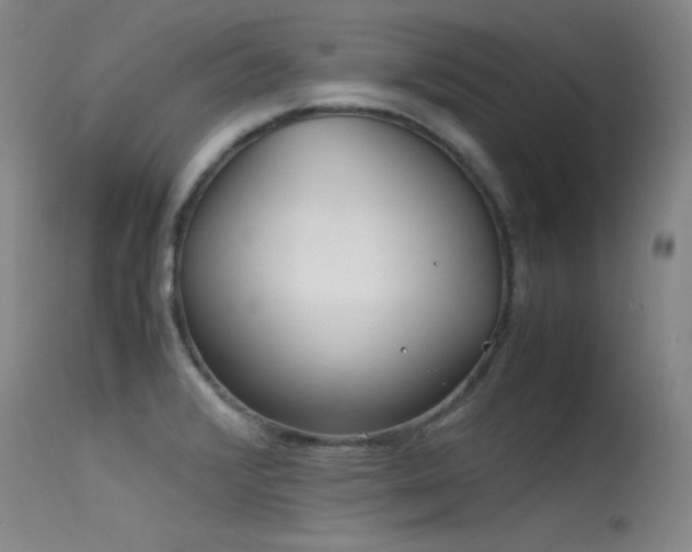 X0000115621376200911101406