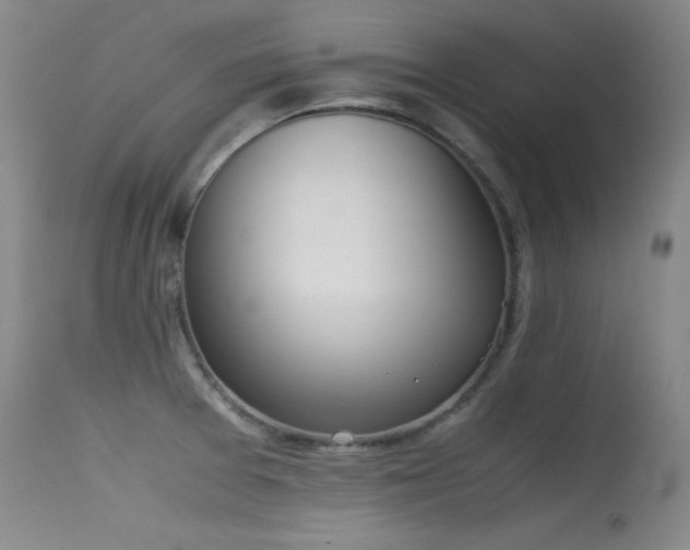 X0000115621377200911101406